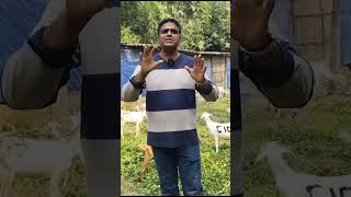 बकरी पालन से सालाना 12 लाख कमाता हूं #goatfarmingbusiness