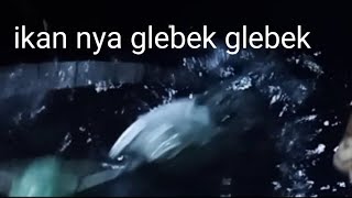 tarikan ikan kuat sekali saya kira ikan tenggiri