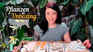 Seltene Pflanzen Unboxing | Zimmerpflanzen im Winter importieren