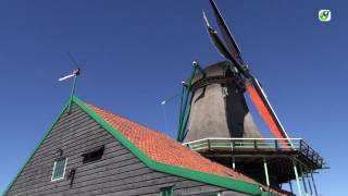 Moulin le Chat : Zaanse Schans