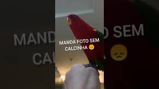 manda foto da raba