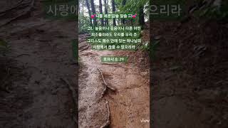 🌿우리를 끊을 수 없으리라🌿로마서 8:39/나를 세운 암송 말씀/맨발 걷기 좋은 날 194/앞산 맨발산행루틴