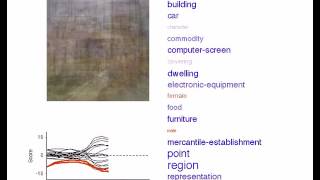 Decodificação neural de imagens durante o sono