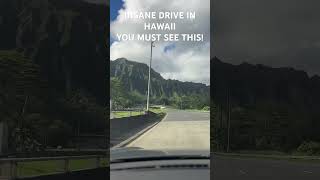 INSANE DRIVE IN HAWAII! YOU MUST SEE THIS!