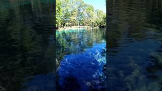 A beleza natural de Ginnie Springs, uma joia escondida na Flórida!