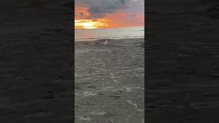 Bello Sunset Playa en Colombia Suscríbete! #shorts #foryou #viral #latino #travel #fypシ #colombia