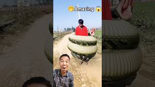 Funny reaction,Viral reaction viral short video part 02 #fun #shorts #viral #trending #amazing