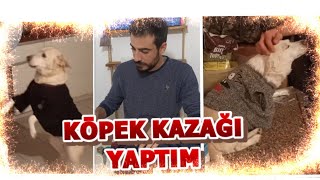 Köpeklere Kışlık Kazak Yaptım