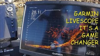 Garmin Livescope In Action