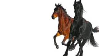 Lil Nas X Old Town Road Remix Version Radio Edit (Feat. Billy Ray Cyrus). [Official Audio].