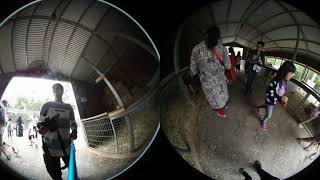 360 20171226 Featherdale Wildlife Park 6