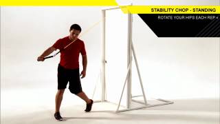 STABILITY CHOP STANDING