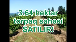 3.64 hektar torpaq sahəsi SATILIR! Xaçmaz rayonu Ləcət kəndi. WHATSAPP 050 970 99 96