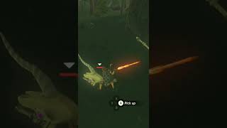 What's the fairy doing in a fight... #shorts #zelda #botwshorts #zeldabotw #nintendo #botw #gaming