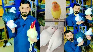 Aj Sary Birds Ka Sath Enjoy Keya🕊🦜🐓 || Adeel Sweet Birds ||🦜🕊🐓