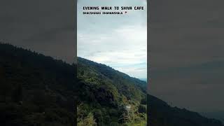 Walk To Shiva Cafe Bhagshunag Dharamshala | Mclodeganj #travel #roadtrip #mountains #mohdkamran #bly