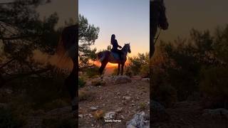 Rider girl in the forest😍|دختر سوارکار در جنگل😍#animals #horse #girl #forest #اسب #دختر #حصان