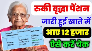 रुकी हुई विकलांग,विधवा,वृद्धा पेंशन जारी हुई लाभार्थियों के खाते में पहुंचे ₹12000 | Old Age Pension