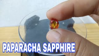 PAPARACHA SAPPHIRE/CATAM(SOLD) 🔴