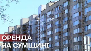 «Є попит – ціни ростуть»: як змінилась вартість оренди квартир на Сумщині?