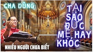 TẠI SAO ĐỨC MẸ HAY KHÓC VẬY ? NHIỀU NGƯỜI VẪN CHƯA HAY BIẾT,BÀI GIẢNG CHA NGỌC DŨNG,TÂM HỒN GIEO HẠT