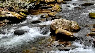 Anna Ruby Falls