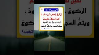 قال ﷺ : " منْ دعا إِلى هُدى كان له من الأجر مثلُ أُجور منْ تبعه لا ينْقص ذلك من أجورِهم شَيْئًا "🤎