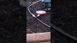 Ground Wasps vs Electric Zapping Racquet