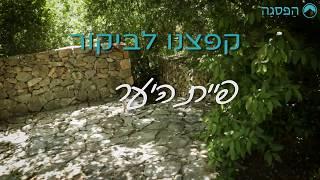 פיית היער - צימרים באבירים | הפסגה