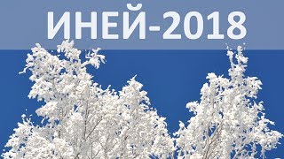 Иней образца 2018 года