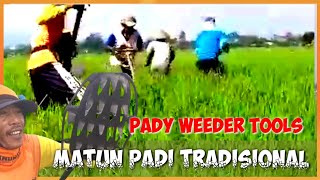 ALAT MATUN/PENYIANG GULMA PADI TRADISIONAL||THE POWER OF TRADITIONAL RICE WEEDING TOOLS