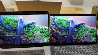 Apple MacBook 16" M2 compared to Dell Precision 5570 display wise