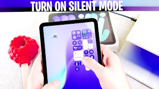 How To Enable/Disable Silent Mode On iPad Mini 7 - 2024