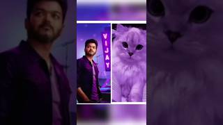 Vijay vs Cat 🙀 part 1 #trending #trendingshorts #viral #shortvideos @Tarun_atrocities