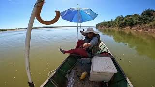 peixes fortes e com dentes afiados é o que bem tem - pescaria no norte de Minas Gerais -