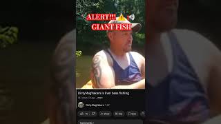 GIANT Bass caught on a live stream! #bass #fishing #toad #it'sagiant