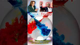 The Mixed Color Challenge: Who's America’s 2024 President - Trump or Harris?