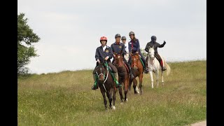 Най - голямата частна ферма за Арабски коне в България е във Вакарел