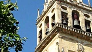 Angelus feriale della Cattedrale di Cordoba (Spagna)