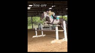 My pony will outperform most horses! She thinks she’s a horse anyways! 😂#ponylover #love