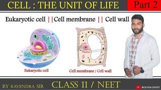 Cell : The unit of Life || Cell || Cell theory || Part  2 || Class 11/NEET 2024 - 25 || Ravendra sir