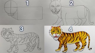 How to draw a Tiger/Tiger Drawing step by step