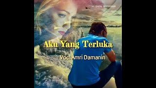 Amri Damanin ▪ Aku Yang Terluka ( Official Lirik Video )