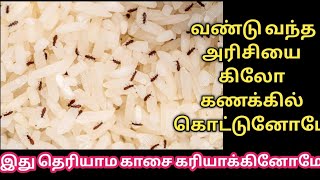 வண்டு புழு பூச்சி இனி வருசத்துக்கும் வராது /பல்லி வராமல் இருக்க இதை மட்டும் செய்ங்க போதும்/#trending