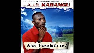 Audit Kabangu - Sala