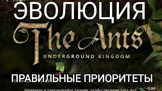 ЭВОЛЮЦИЯ The Ants Underground kingdom