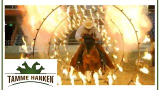 Pferd springt durch einen FEUERRING! | Tamme Hanken | Kabel Eins