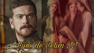 Biografía de todos los hijos del sultan Selim II