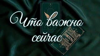 🌿 САМОЕ ГЛАВНОЕ ДЛЯ ВАС СЕЙЧАС 🌿