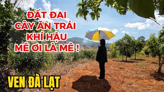 (Đã bán) Đất ven Đà Lạt| Ở ĐÂY KHÔNG BAO GIỜ PHẢI SỬ DỤNG ĐIỀU HOÀ! Đất đai cây ăn trái quá là mê!